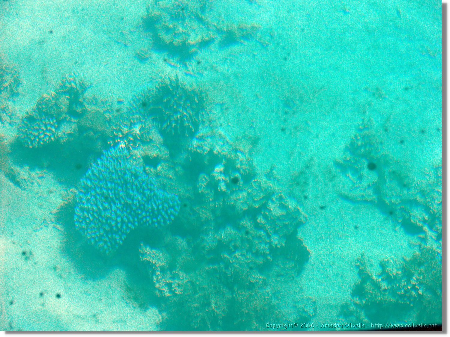 Aqaba_036.jpg