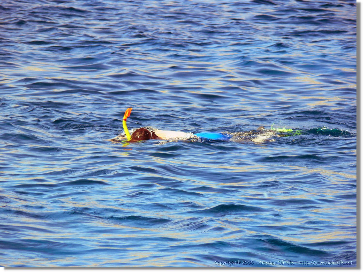 Aqaba_044.jpg