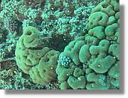 Aqaba_024.jpg