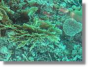 Aqaba_028.jpg