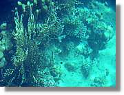 Aqaba_032.jpg