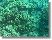 Aqaba_034.jpg