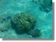 Aqaba_035.jpg