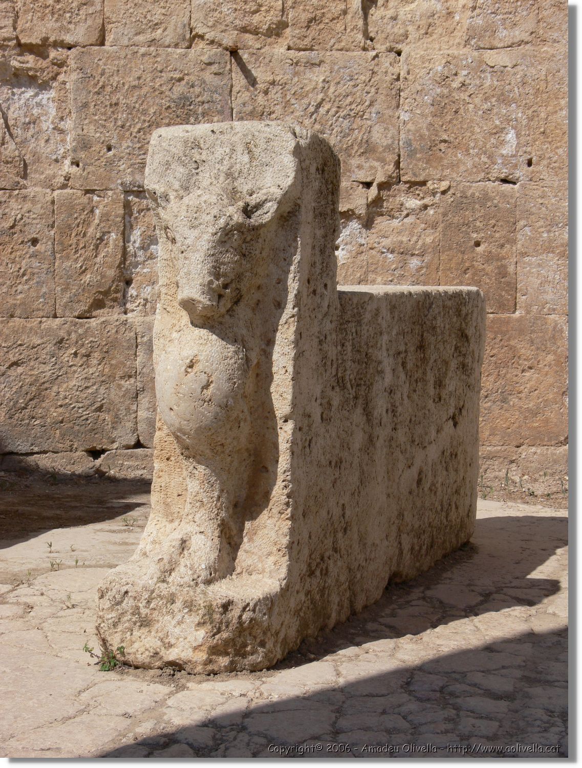 Jerash_037.jpg