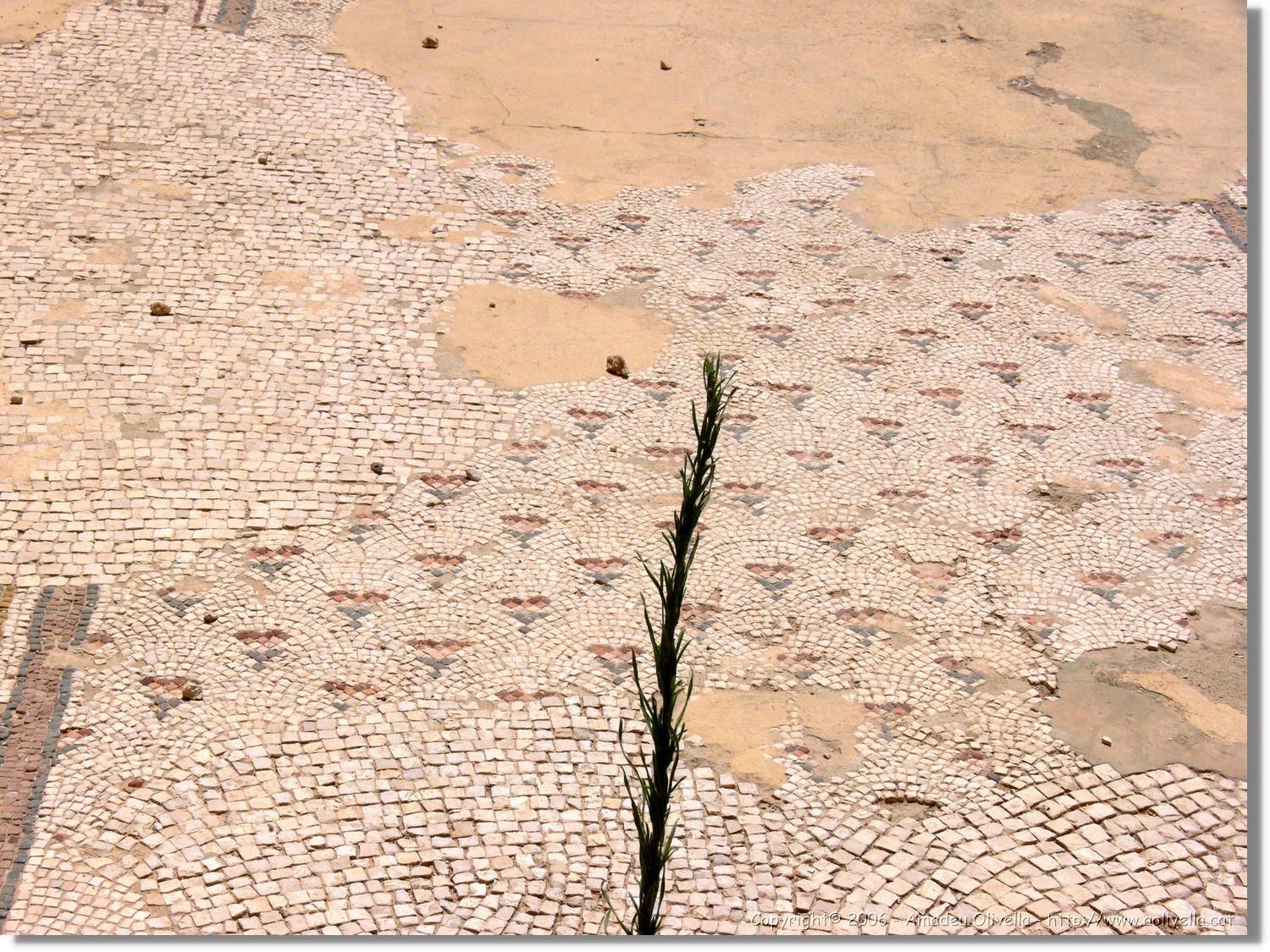 Jerash_132.jpg
