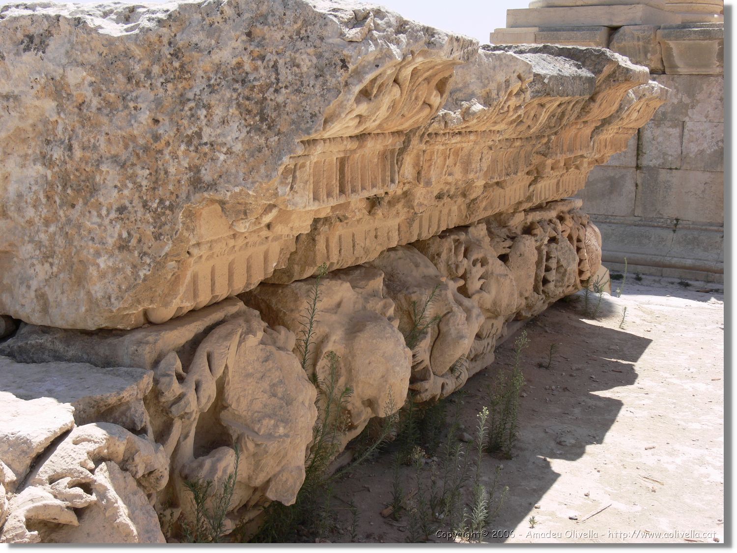 Jerash_148.jpg
