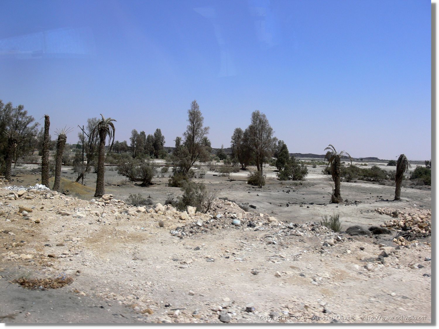 Jerash_162.jpg