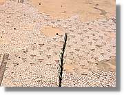 Jerash_132.jpg