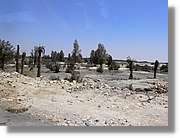 Jerash_162.jpg