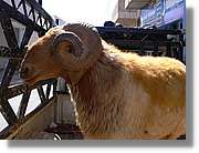 Nebo_016.jpg
