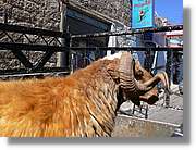 Nebo_017.jpg