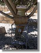 Nebo_082.jpg