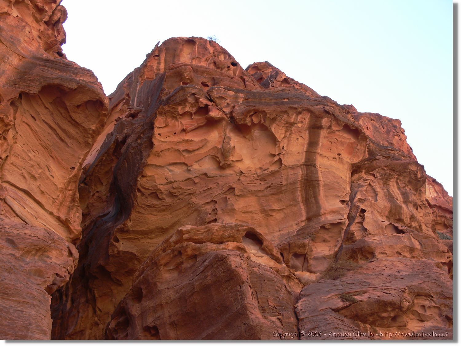 Petra_071.jpg