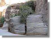 Petra_018.jpg