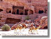 Petra_123.jpg