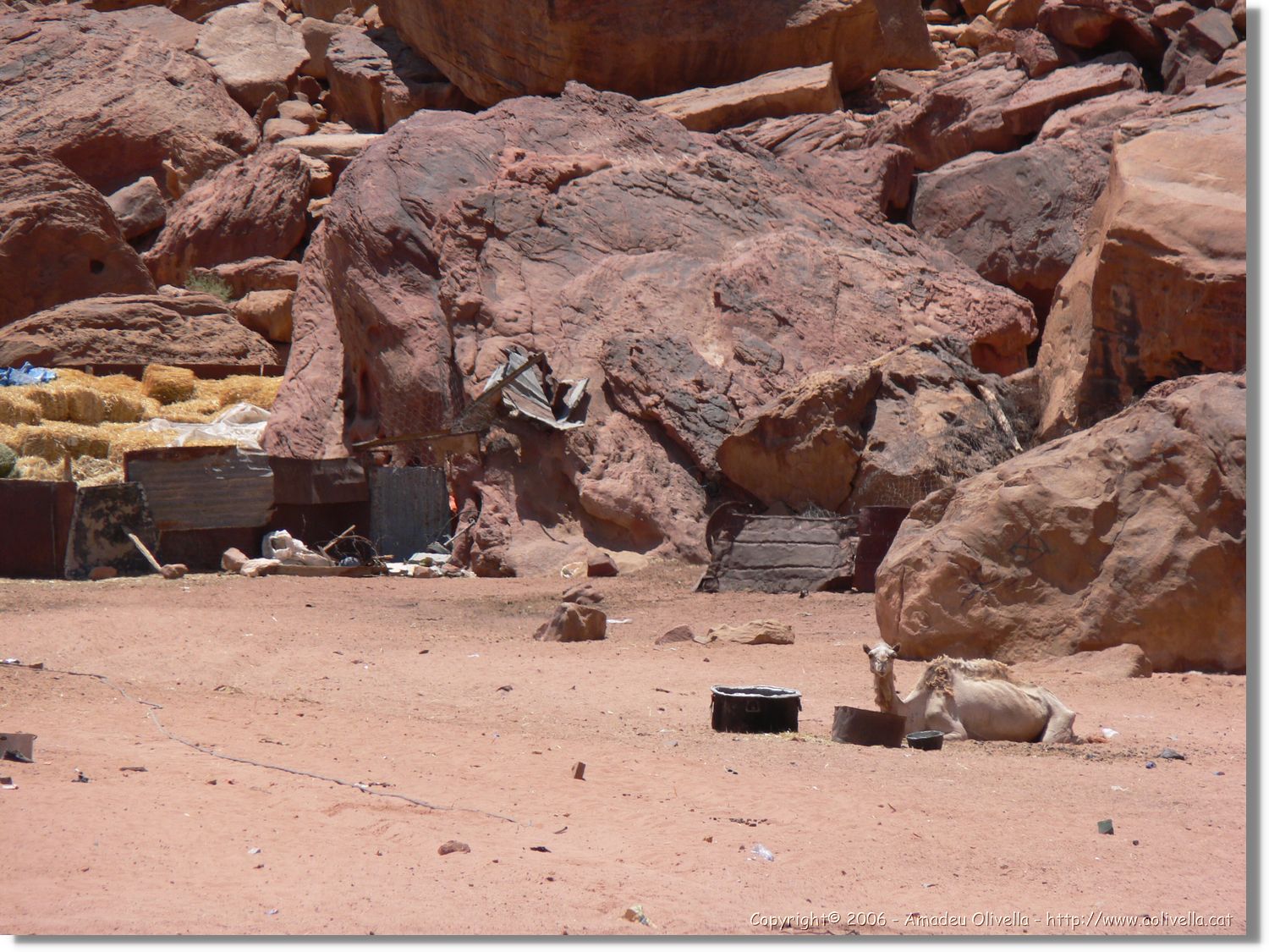 WadiRum_084.jpg