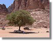 WadiRum_065.jpg