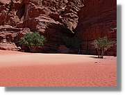 WadiRum_144.jpg
