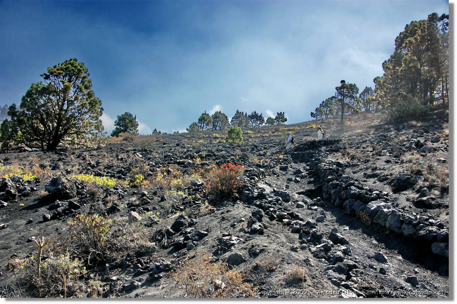 Fuencaliente_051.jpg