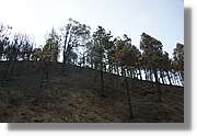 Fuencaliente_004.jpg