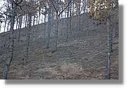 Fuencaliente_007.jpg