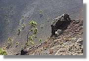 Fuencaliente_029.jpg