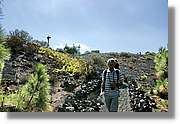Fuencaliente_049.jpg