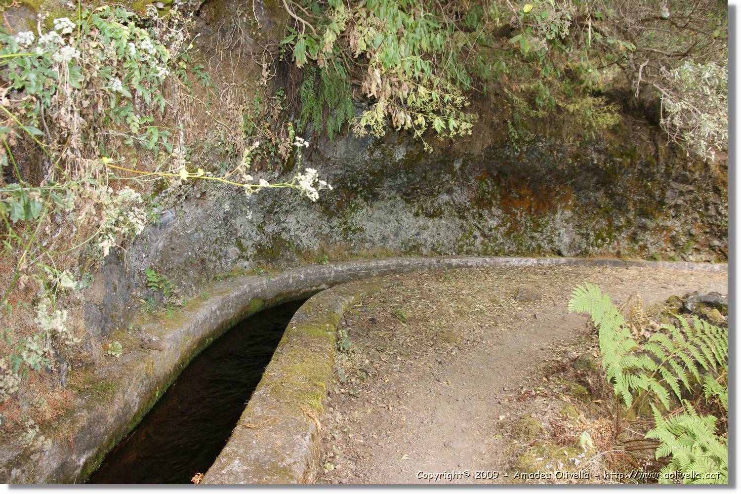 Nacientes_027.jpg