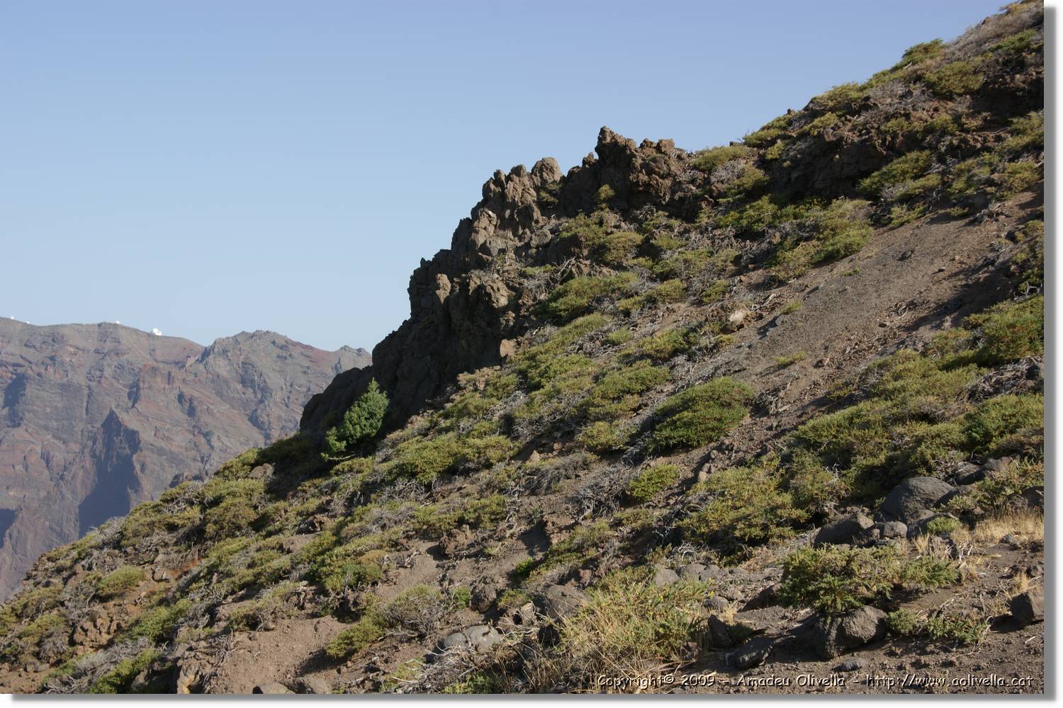 Taburiente_049.jpg
