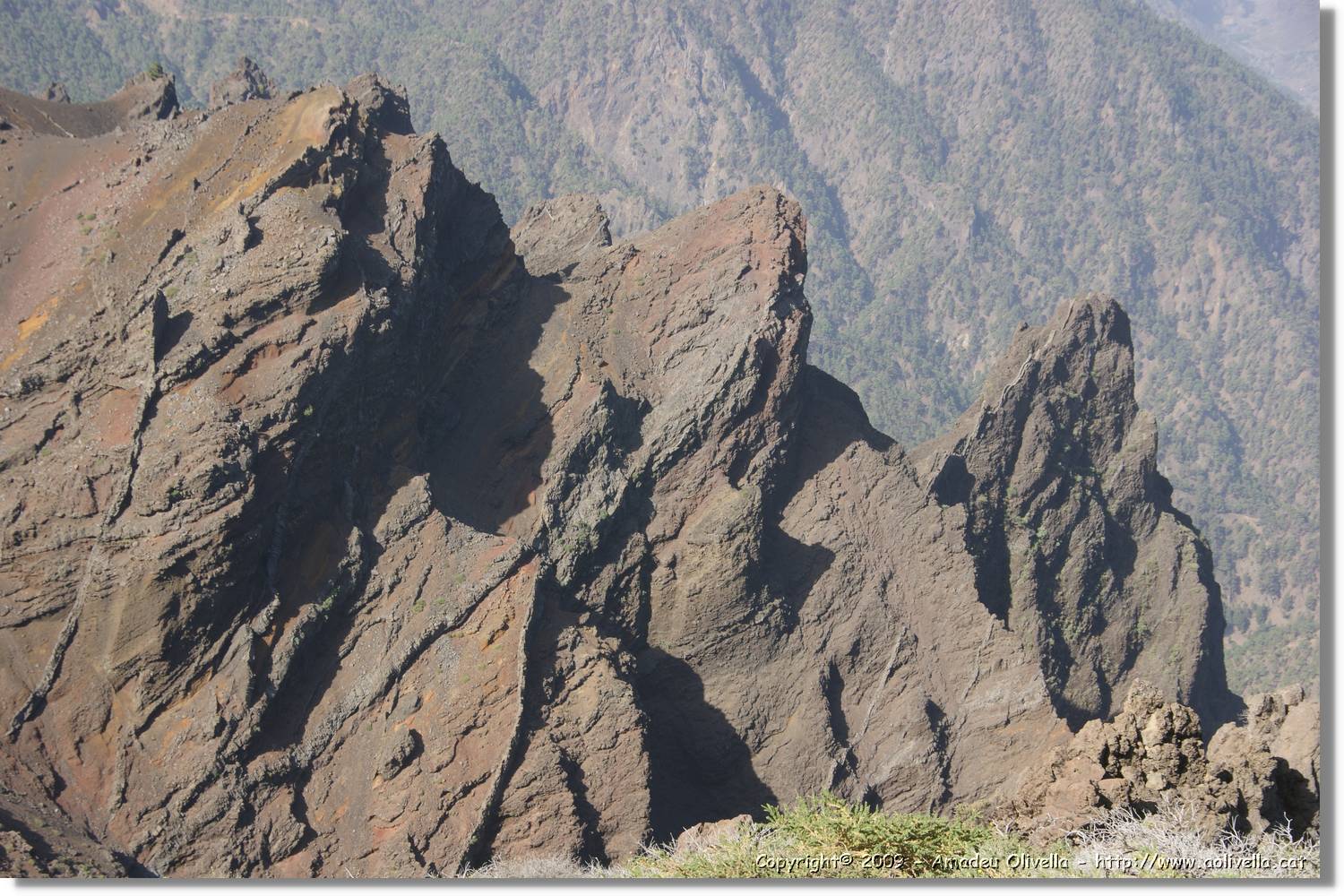 Taburiente_067.jpg