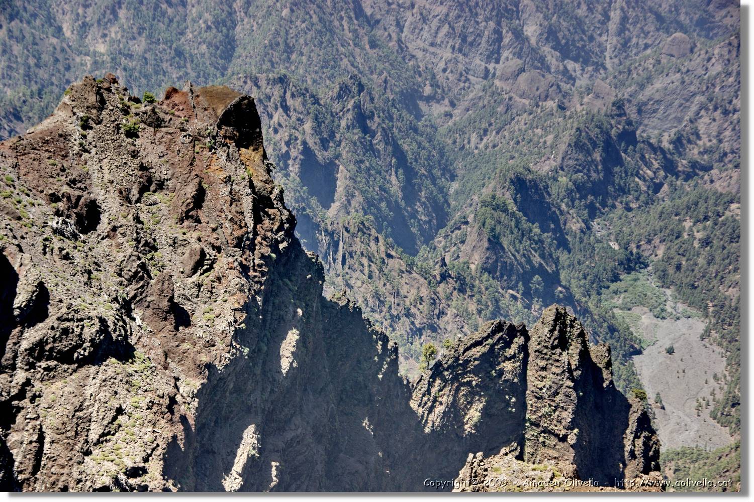 Taburiente_166.jpg