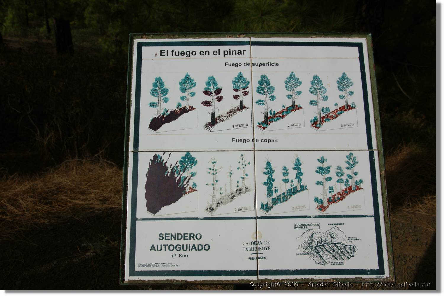 Taburiente_261.jpg