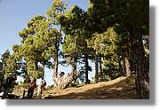 Taburiente_020.jpg