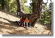 Taburiente_027.jpg