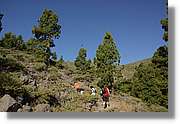 Taburiente_030.jpg