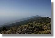 Taburiente_035.jpg