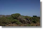 Taburiente_125.jpg
