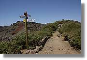 Taburiente_176.jpg