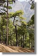 Taburiente_254.jpg