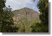 Taburiente_260.jpg