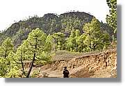 Taburiente_266.jpg