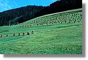 Lesachtal_109.jpg
