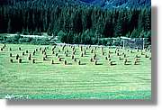 Lesachtal_110.jpg