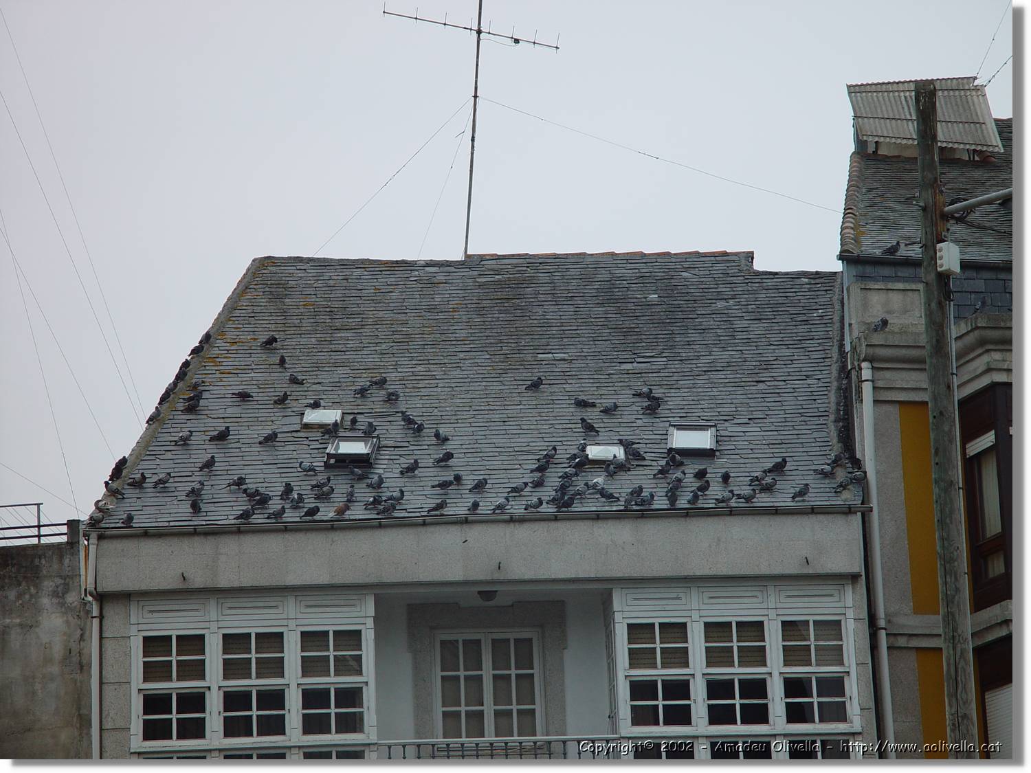 Lugo_005.jpg