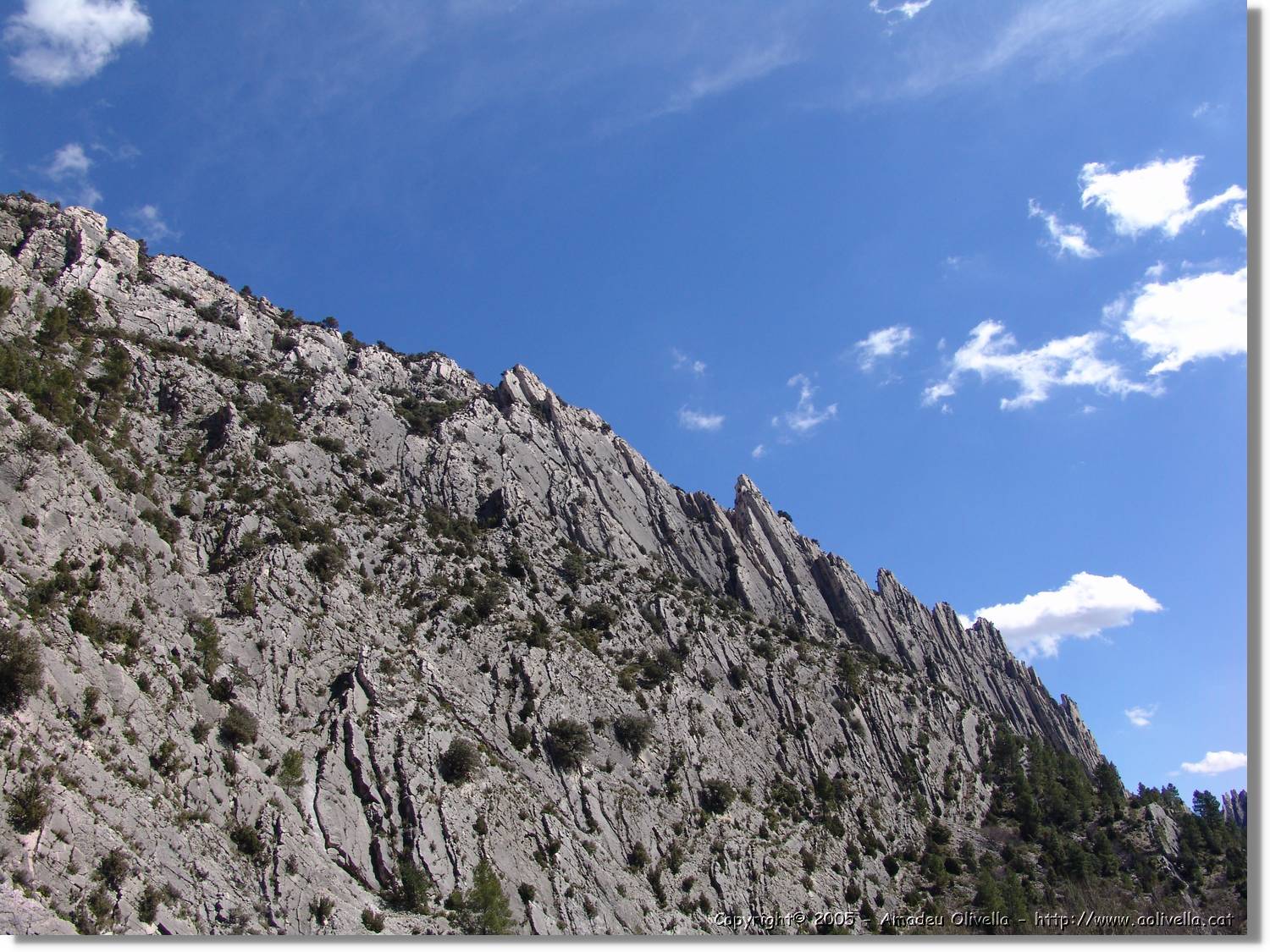 Calanda_002.jpg