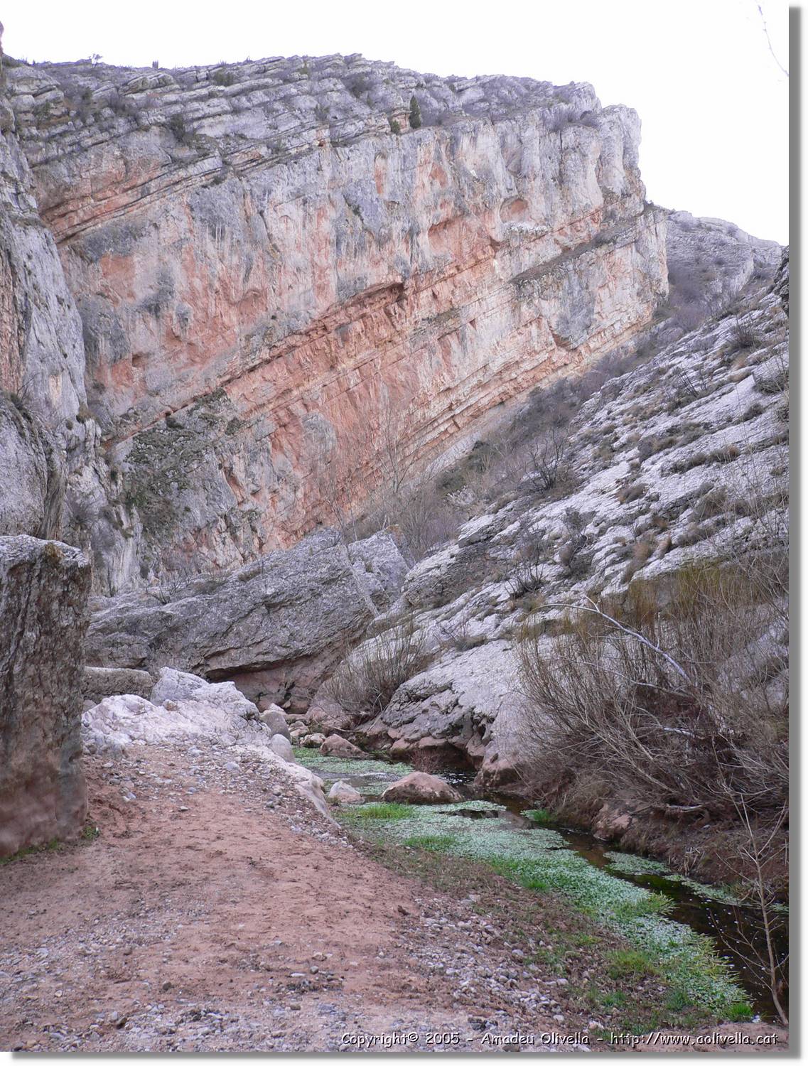 Calanda_061.jpg