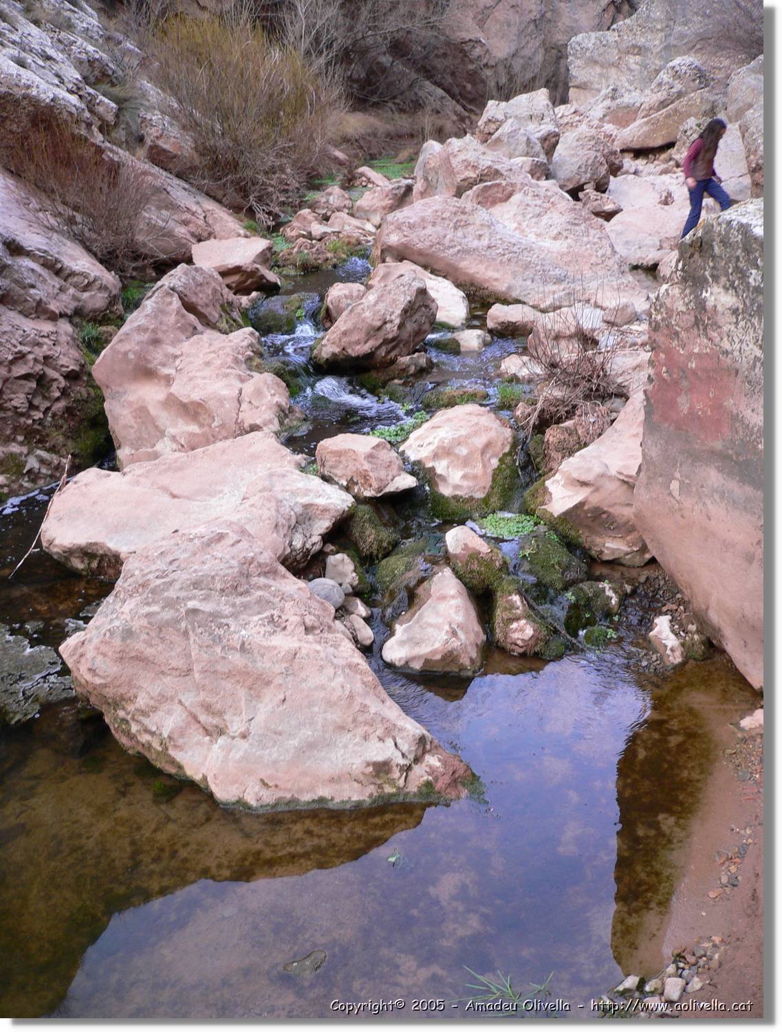 Calanda_062.jpg