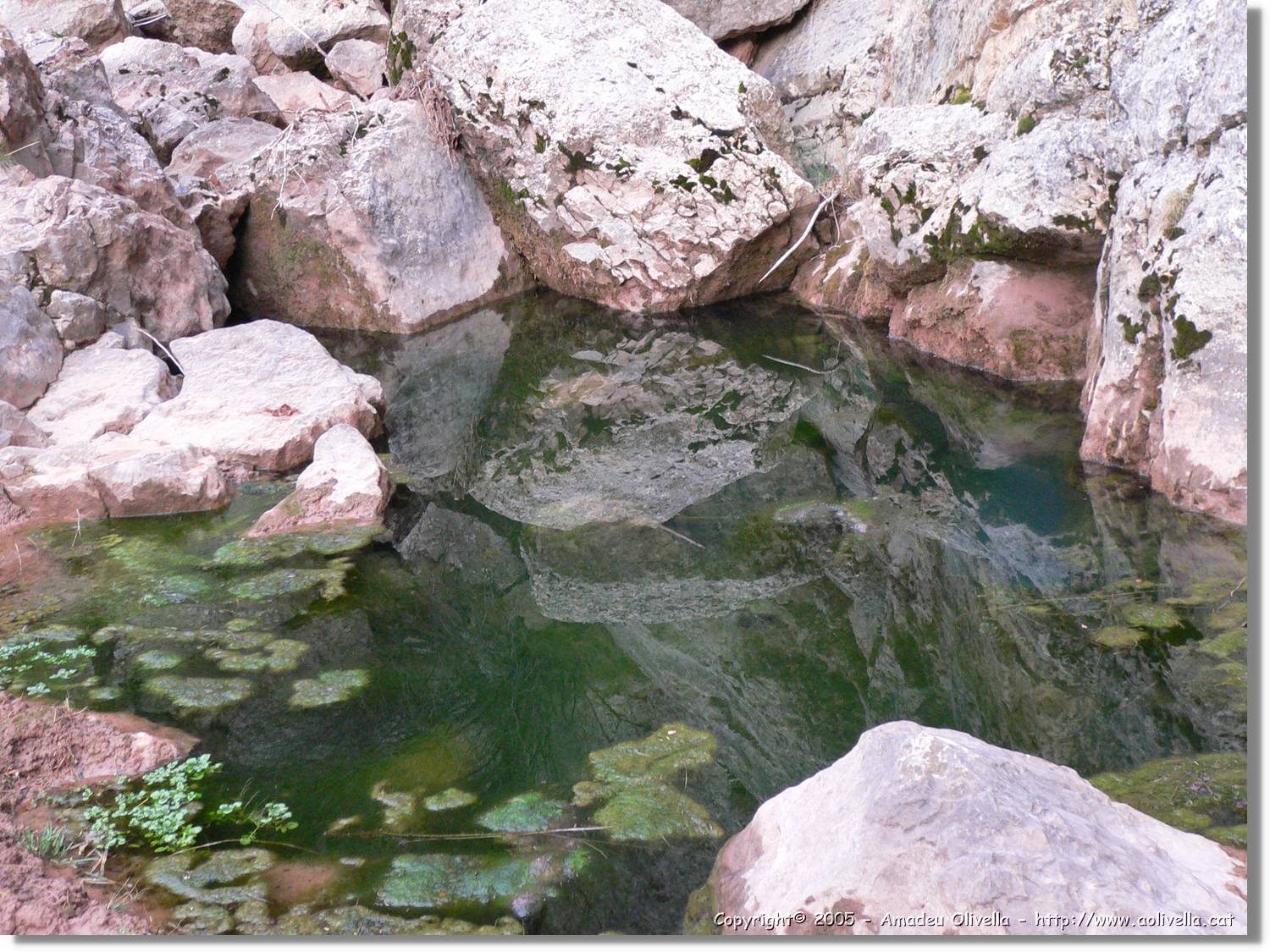 Calanda_063.jpg
