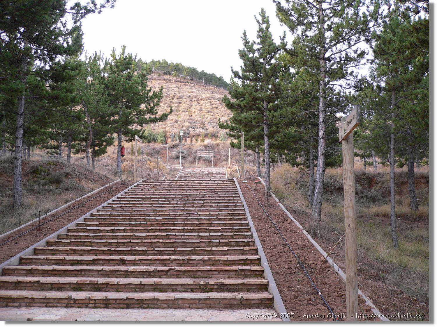 Calanda_074.jpg