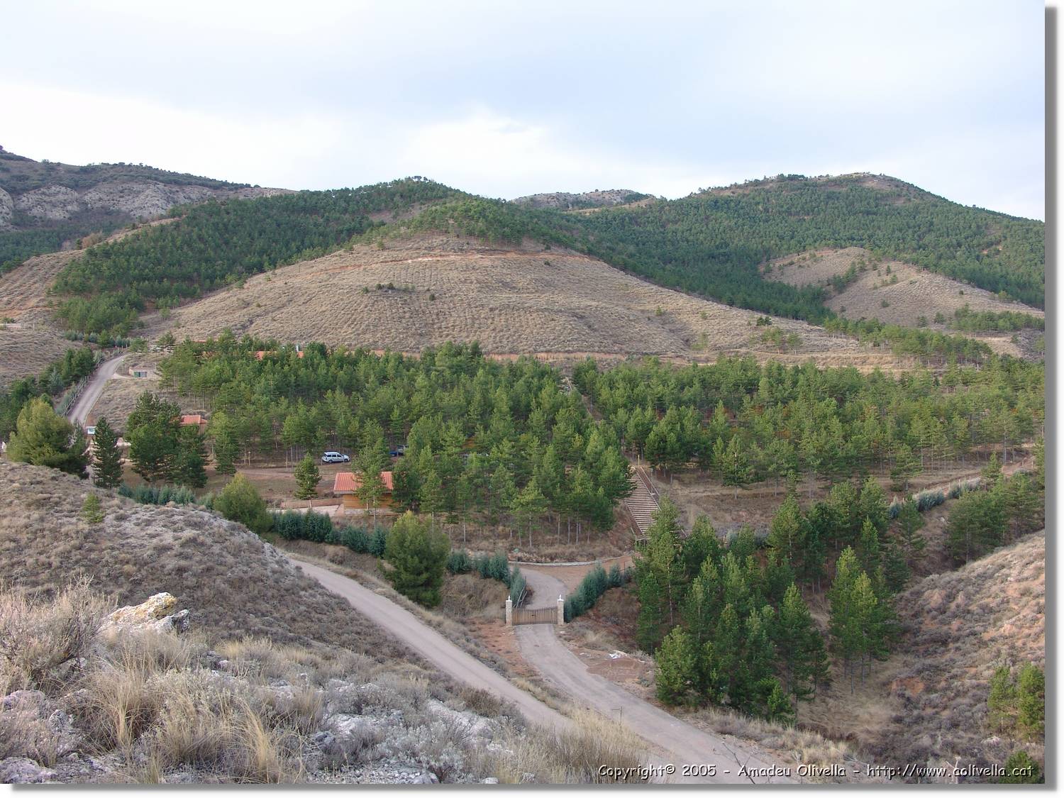 Calanda_079.jpg